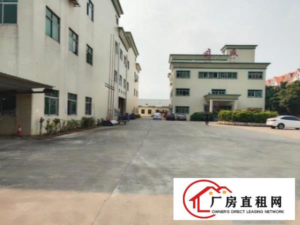  塘厦科苑城新出820平一楼，装修新净，原房东直租公摊小