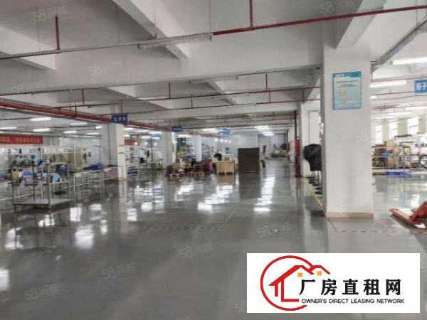  塘厦蛟乙塘宝石工业区标准2楼1200平方！电子车间免装修
