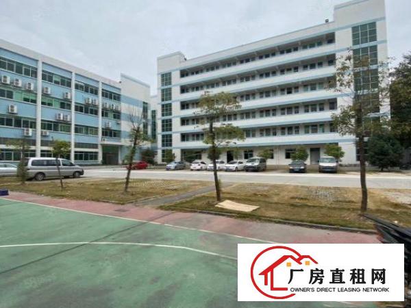  塘厦蛟乙塘宝石工业区标准2楼1200平方！电子车间免装修