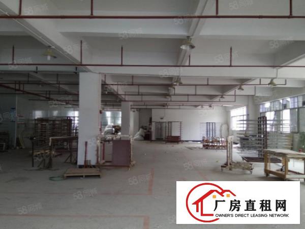  笋盘！塘厦平山新出独院5000平，形象好，原房东配置齐全