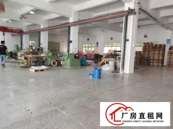  塘厦四村新出一楼1510平，现成配置，无公摊原房东