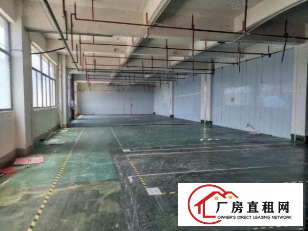  塘厦龙背岭工业园3楼750平带装修厂房出租，有装修，现成格局