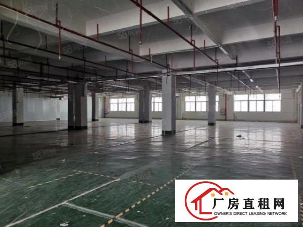  塘厦龙背岭工业园3楼750平带装修厂房出租，有装修，现成格局