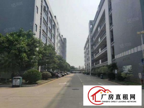  塘厦龙背岭工业园3楼750平带装修厂房出租，有装修，现成格局