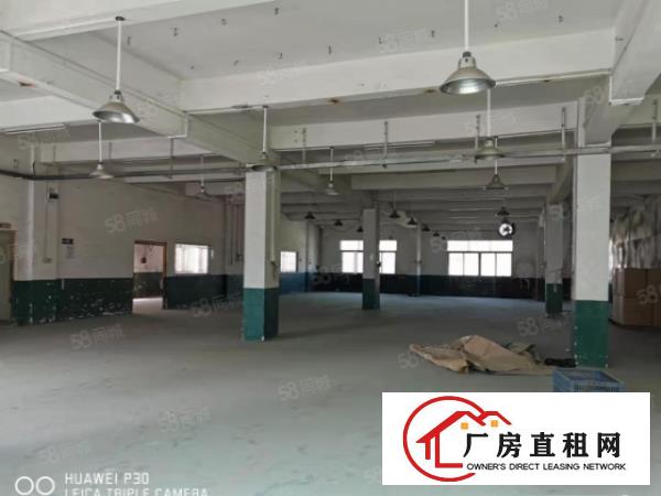  塘厦石潭埔刚空出标准独院厂房2300平，原房东价格超乎你想