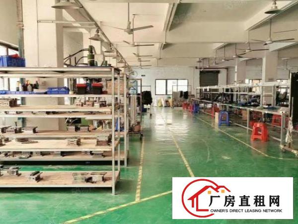  原房东独院厂房2400平，实际面积，现成装修
