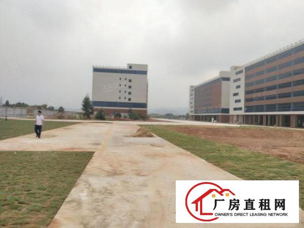  清溪可做电池全新厂房出租5000平方（可分租）水电齐全