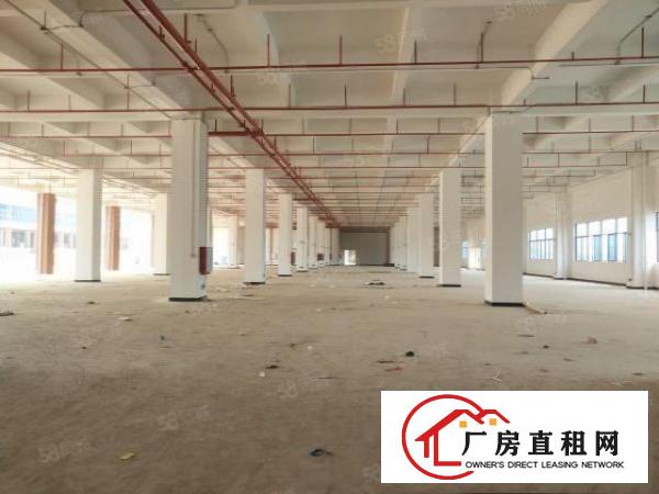  清溪可做电池全新厂房出租5000平方（可分租）水电齐全