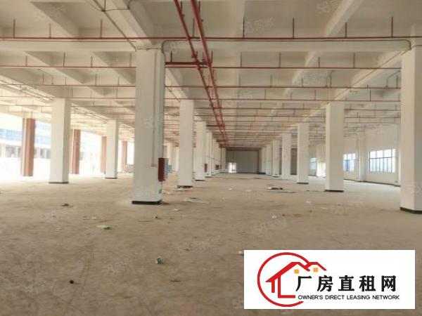  清溪可做电池全新厂房出租5000平方（可分租）水电齐全