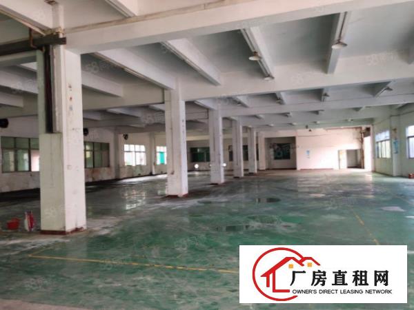  塘厦林村新出独栋2400平，整租仅需15元每平，配置齐全。