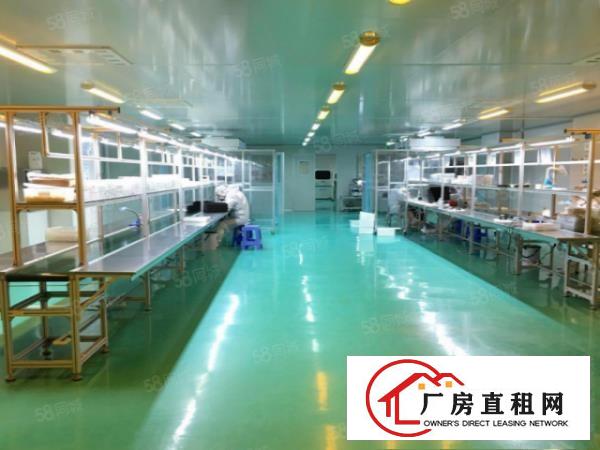  原房东带红本科苑城无尘车间1600平有办公无公摊，可整租分租