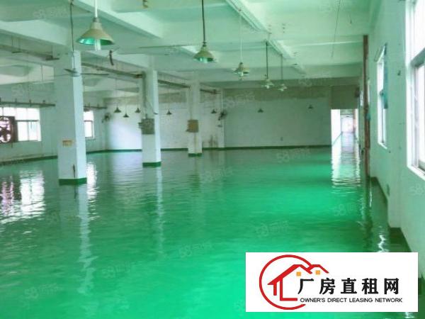  靠塘厦清溪原房东独院厂房出租5800平方，无公摊带装修环评