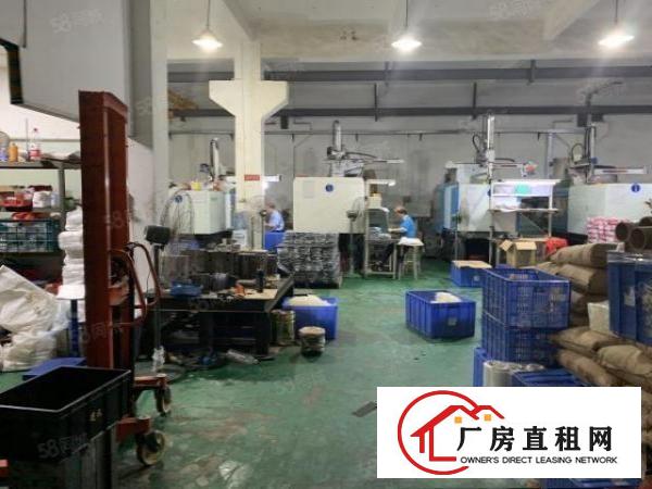  塘厦新出花园式厂房一楼500平，带牛腿，带现成精装办公室
