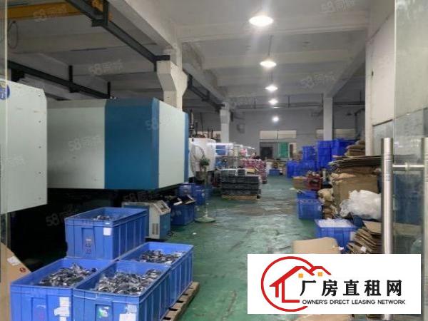  塘厦新出花园式厂房一楼500平，带牛腿，带现成精装办公室
