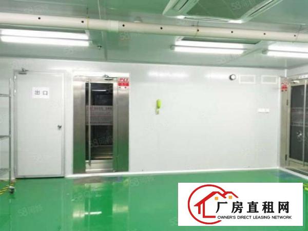  塘厦凤凰岗新出标准厂房350平，有地坪漆