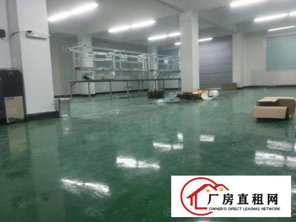  塘厦凤凰岗新出标准厂房350平，有地坪漆