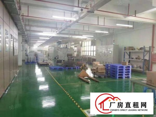  （实拍，挨主干道）莲湖豪华装修1500平方标准厂房招租
