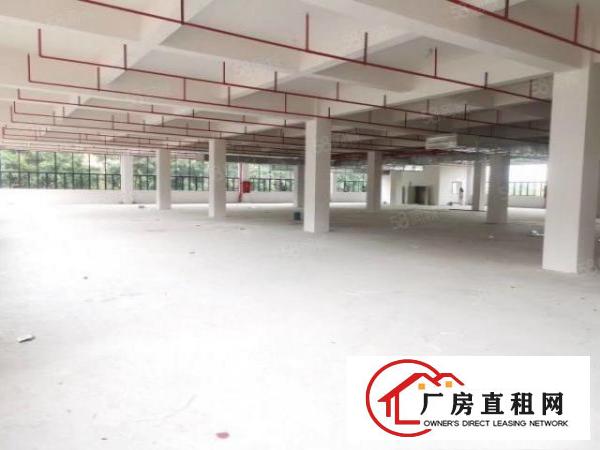  塘厦靠近深圳高速出口附近新出高新科技产业园40000平左右