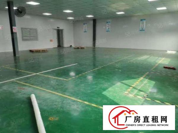  塘厦莲湖小面积厂房出租550平适合淘宝电商贸易电子组装