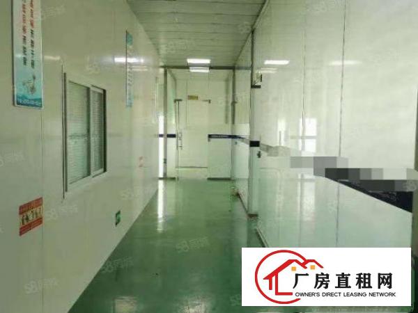  塘厦莲湖小面积厂房出租550平适合淘宝电商贸易电子组装