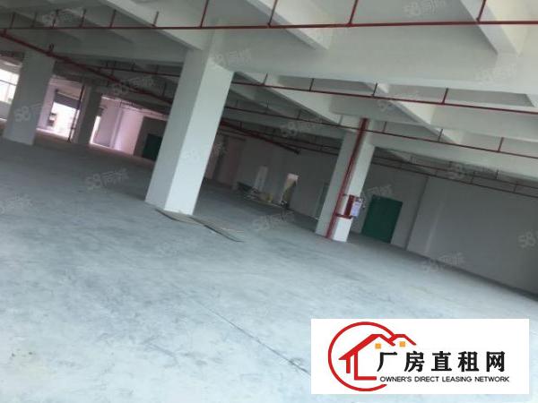  原房东新建厂房，带消防喷淋，水电齐全，周边空地大，