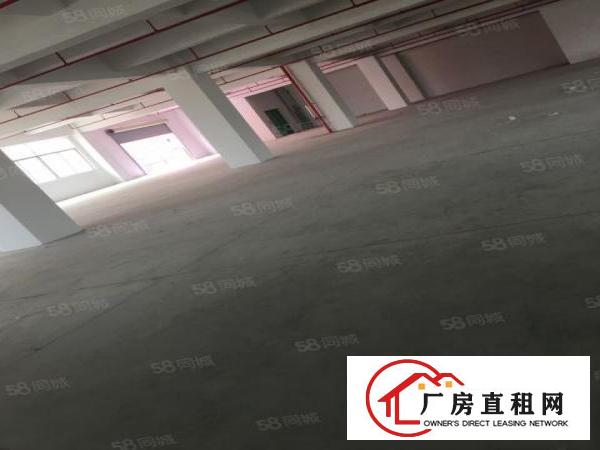  原房东新建厂房，带消防喷淋，水电齐全，周边空地大，