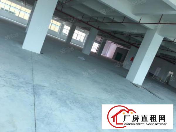  原房东新建厂房，带消防喷淋，水电齐全，周边空地大，