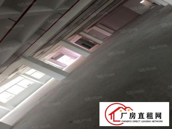  原房东新建厂房，带消防喷淋，水电齐全，周边空地大，
