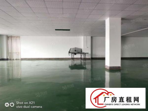  采光明亮，靓丽地坪漆，塘厦石马新出2楼700平出租