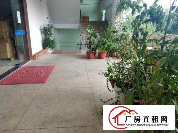  塘厦林村新出楼上1890平标准厂房出租