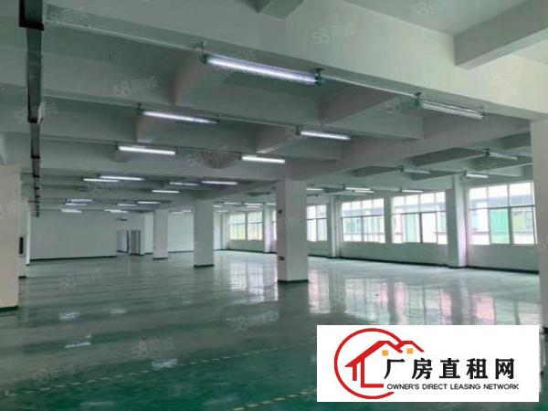  塘厦林村杨帆小学旁标准2楼1480平方！一整层可分租！带装修