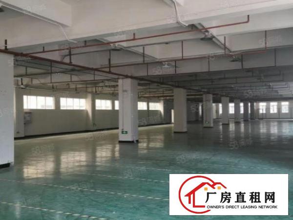  塘厦林村杨帆小学旁标准2楼1480平方！一整层可分租！带装修
