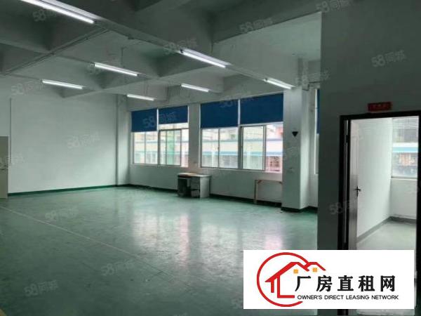  塘厦林村杨帆小学旁标准2楼1480平方！一整层可分租！带装修