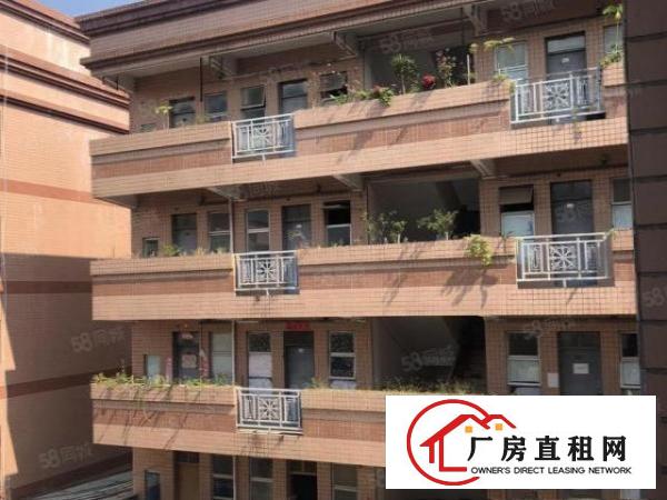  塘厦林村杨帆小学旁标准2楼1480平方！一整层可分租！带装修