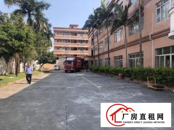 塘厦林村杨帆小学旁标准2楼1480平方！一整层可分租！带装修