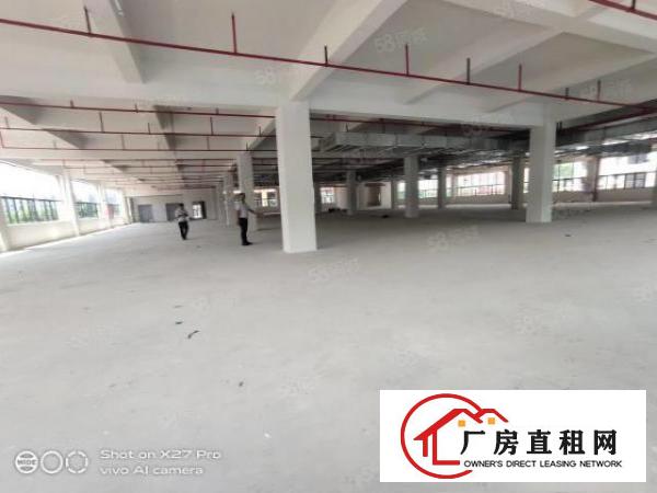  塘厦临深惊现全新厂房44000可做孵化器高新产业火爆抢租