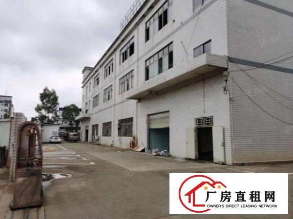 塘厦新出千级无层车间550平方田心附近一手房源