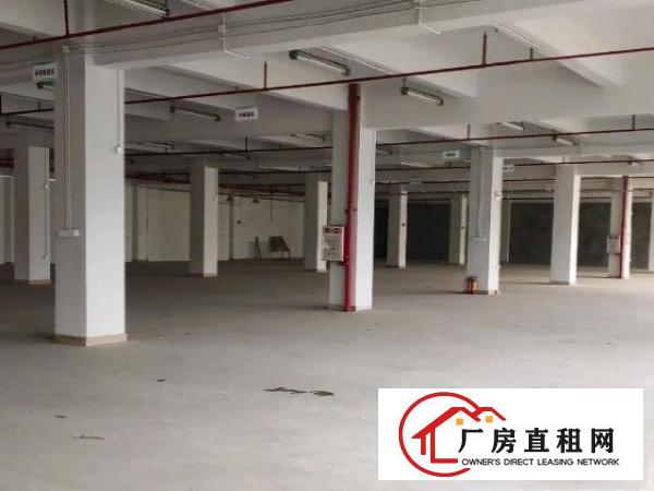 凤岗雁田科技园2300平带消防喷淋卸货平台3吨货梯厂房出租