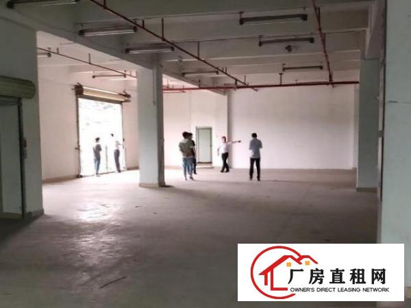  凤岗雁田科技园2300平带消防喷淋卸货平台3吨货梯厂房出租