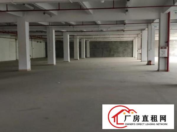  凤岗雁田科技园2300平带消防喷淋卸货平台3吨货梯厂房出租