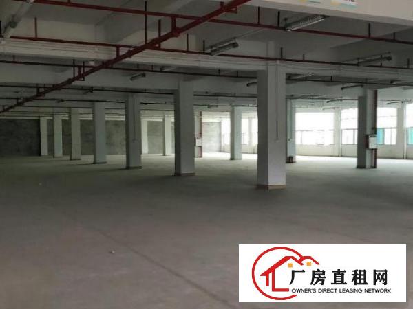  凤岗雁田科技园2300平带消防喷淋卸货平台3吨货梯厂房出租