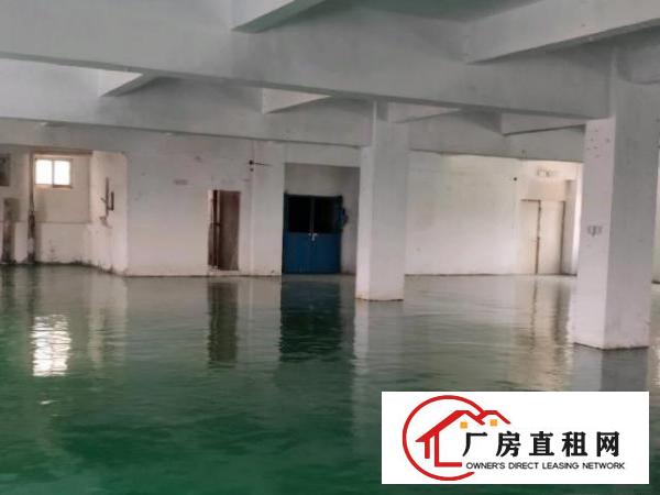  凤岗雁田三楼1200平方带地坪漆13元