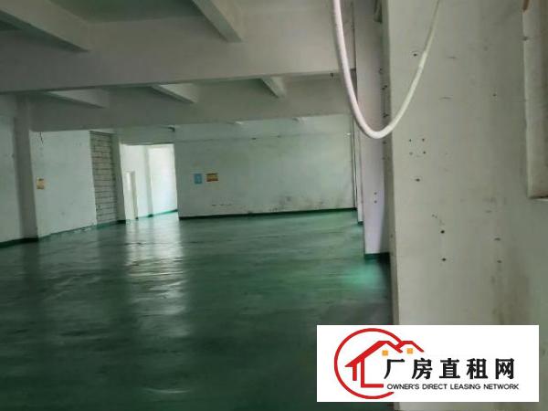  凤岗雁田工业区独院出租一楼400平全新地坪漆