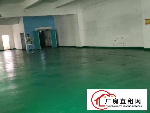  凤岗雁田工业区独院出租一楼400平全新地坪漆