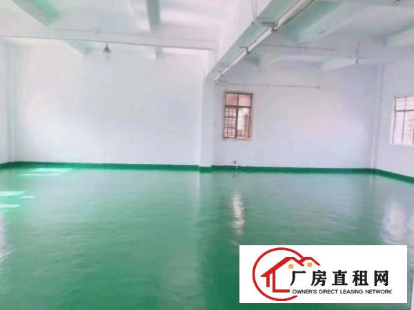  凤岗雁田工业区独院出租一楼400平全新地坪漆