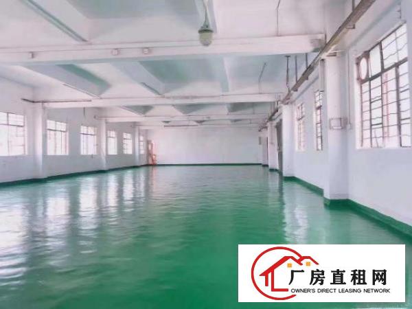  凤岗雁田工业区独院出租一楼400平全新地坪漆