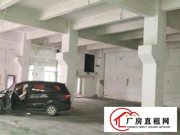  凤岗五联一楼700平带牛角厂房出租
