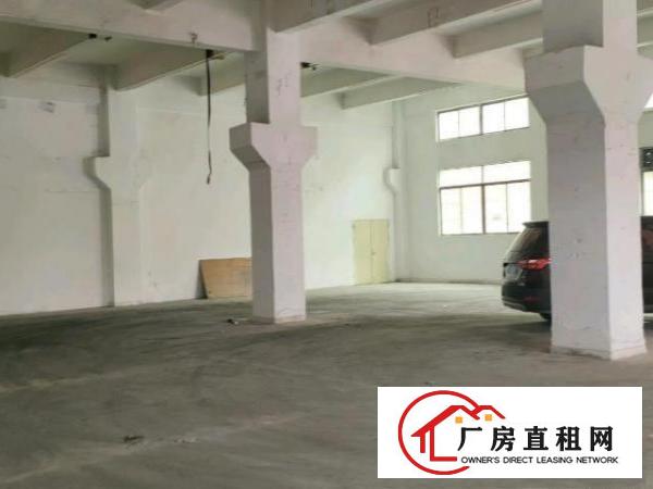  凤岗五联一楼700平带牛角厂房出租
