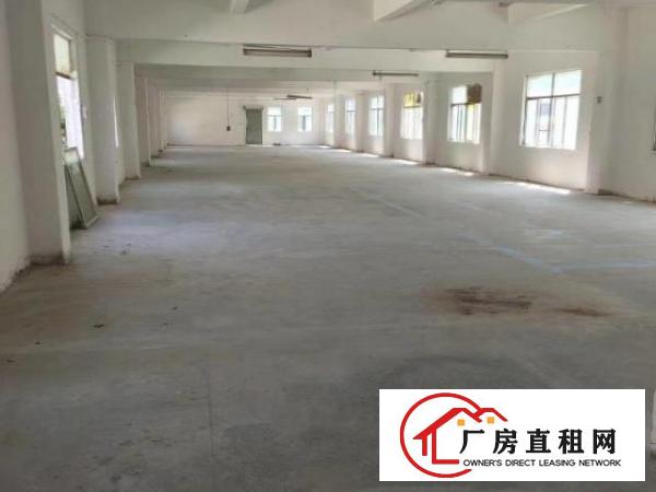  红鑫实业，凤岗房源，占地面积2w多平方