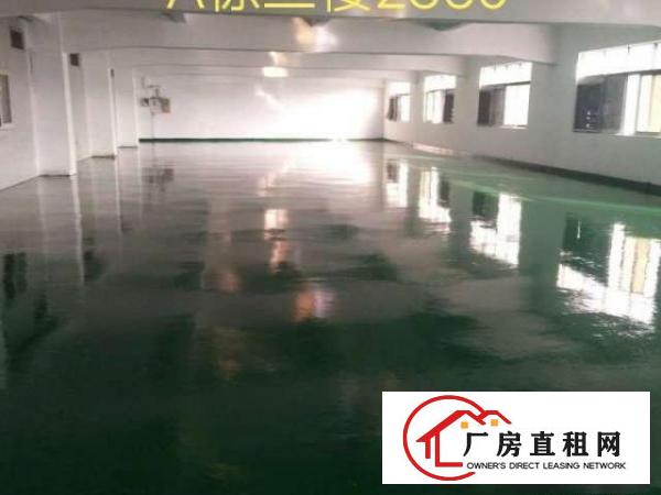  红鑫实业，凤岗房源，占地面积2w多平方